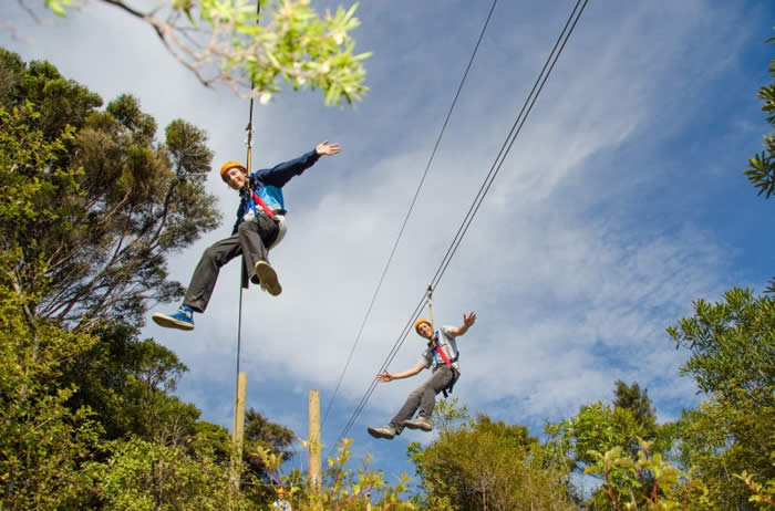 Dual-ziplines, so you can fly with a friend!
